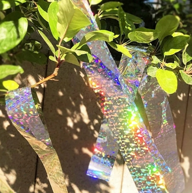 Светоотражающая лента для отпугивания птиц голографическая 5000х5 см Серебристый (2311) - фото 7 Светоотражающая лента для отпугивания птиц голографическая 5000х5 см Серебристый (2311) - фото 7