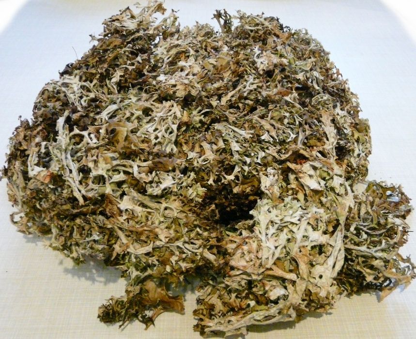 Цетрария исландская мох Карпаты 50 г (6076cc60bb4c9a3d2c7a4922)