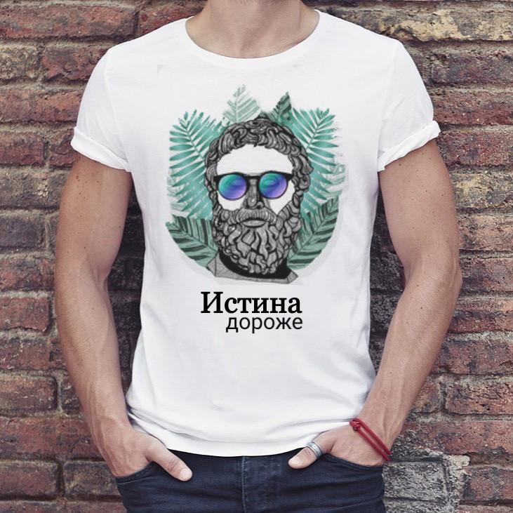 Футболка чоловіча "Істина дорожча" 4XL Білий (ts-140604_4XL)