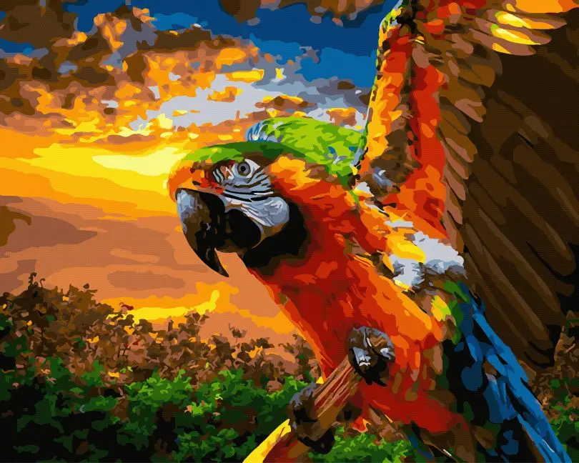 Картина по номерам Brushme Цветной попугай 40x50 см (BRM45455) Картина по номерам Brushme Цветной попугай 40x50 см (BRM45455)