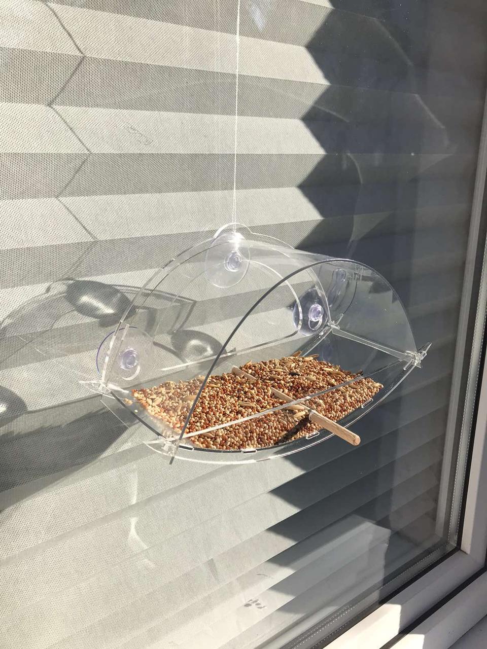 Кормушка для птиц ТРЕСТ на присосках на окно 10х23,5х12 см - фото 5 Кормушка для птиц ТРЕСТ на присосках на окно 10х23,5х12 см - фото 5