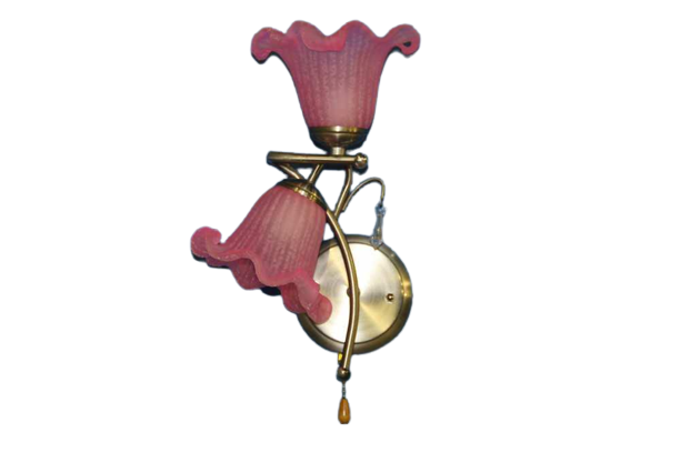 Бра с плафонами Ray B3959/2 Розовый (IR004974)