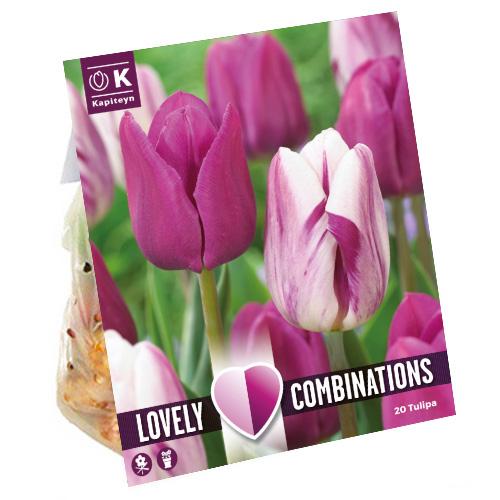 Комбо тюльпаны Florium Duopack Purple and White брендовые луковицы Kapiteyn (15245)