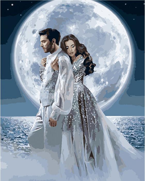 Картина по номерам Идейка Под лунным сиянием 40х50 см (KHO4552)