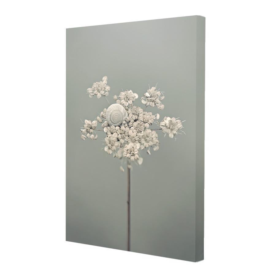 Набір постерів Riviera Blanca Квіткова імла 3 шт. (PS-002) - фото 2 Набір постерів Riviera Blanca Квіткова імла 3 шт. (PS-002) - фото 2