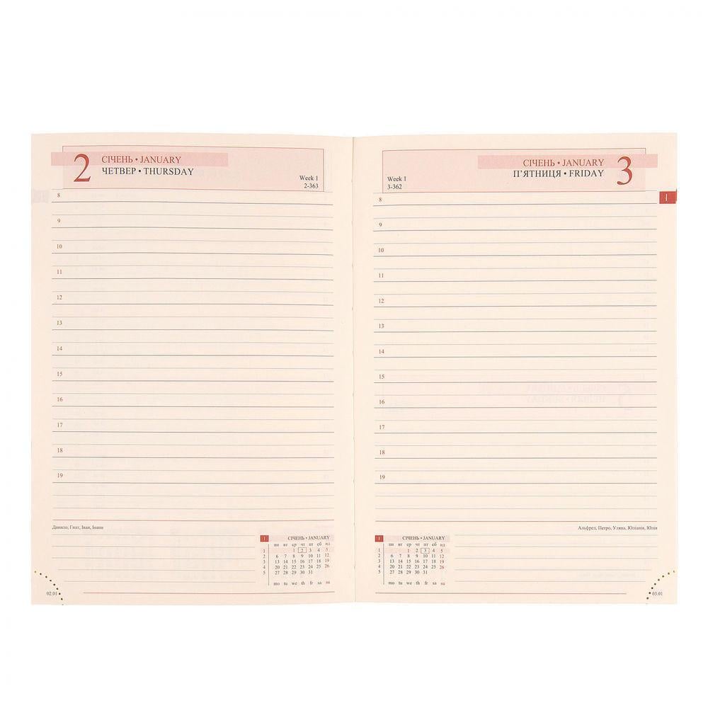 Щоденник датований 2025 Leo Planner Binario A5 368 стр. Рожевий (252541) - фото 8