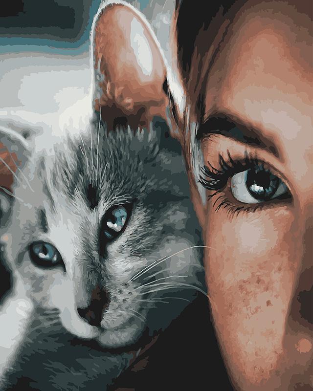 Картина по номерам Brushme Глаза кошки 40x50 см (BRM28453)