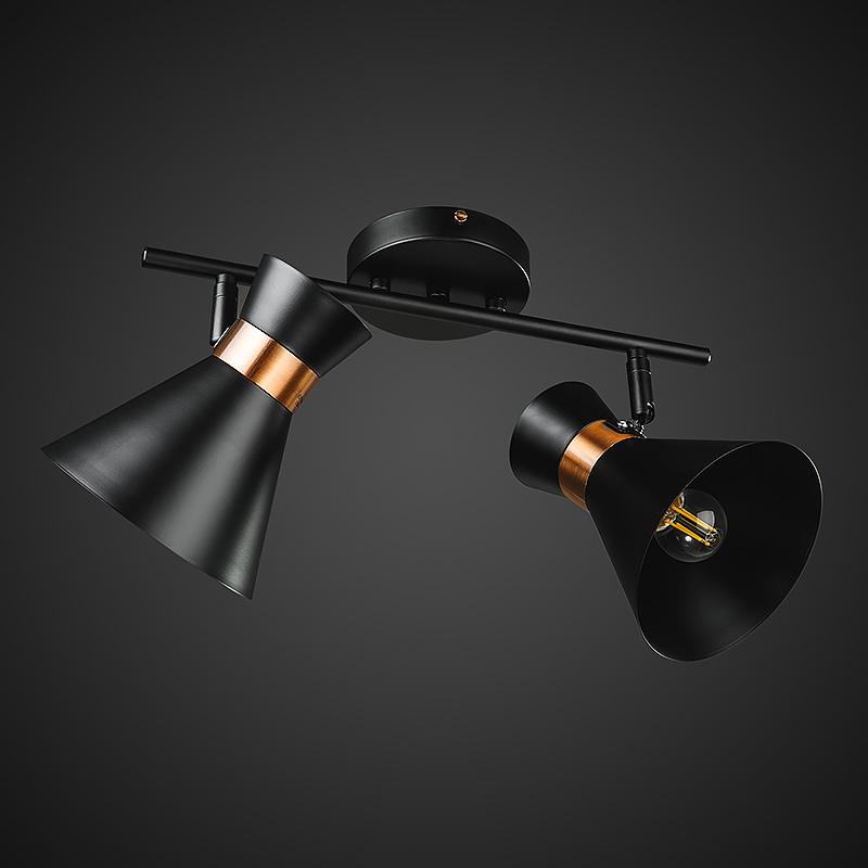 Потолочная люстра Light House DL-17292/2 Черный