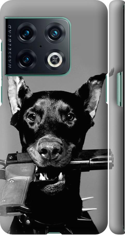 Чехол на OnePlus 10 Pro Доберман (2745m-2588-42517)
