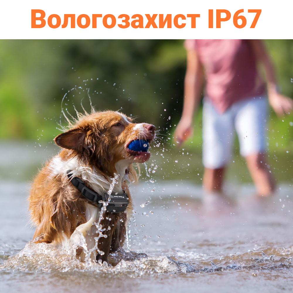 Електронашийник iPets PET619-2 на два нашийника водонепроникний перезаряджуваний Помаранчевий - фото 9 Електронашийник iPets PET619-2 на два нашийника водонепроникний перезаряджуваний Помаранчевий - фото 9