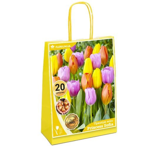 Премиум Микс Принцесса София Florium (15514)