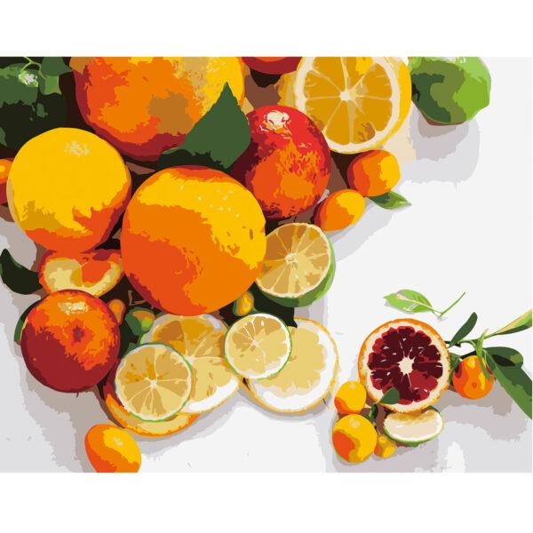 Набір для розпису за номерами Strateg Фруктовий мотив 40х50 см (VA-2679-mt)