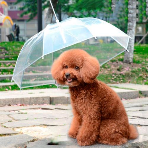 Парасолька для собаки Anex Pet Umbrella (2439) - фото 8