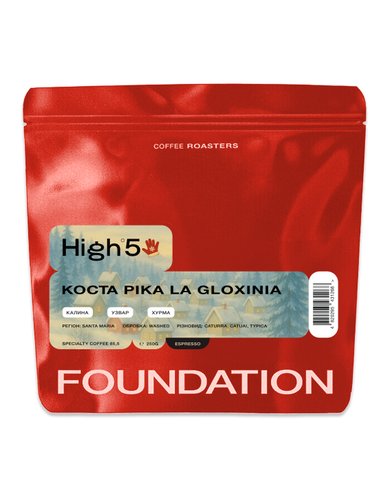 Кофе в зернах Foundation Coffee Roasters High5 Коста Рика LA GLOXINIA 250 г