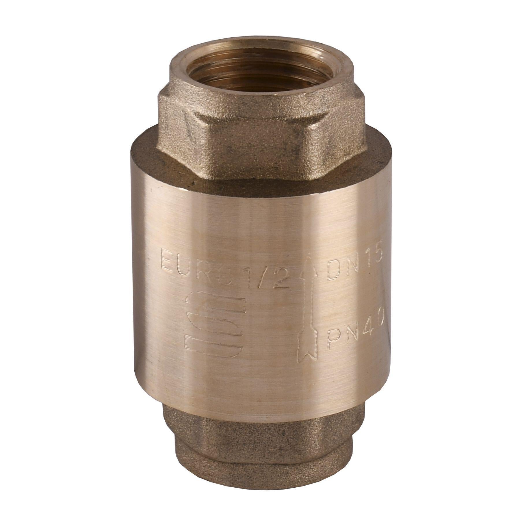 Клапан обратного хода воды SELBA 1/2″ SL1541 (000010255) Клапан обратного хода воды SELBA 1/2″ SL1541 (000010255)