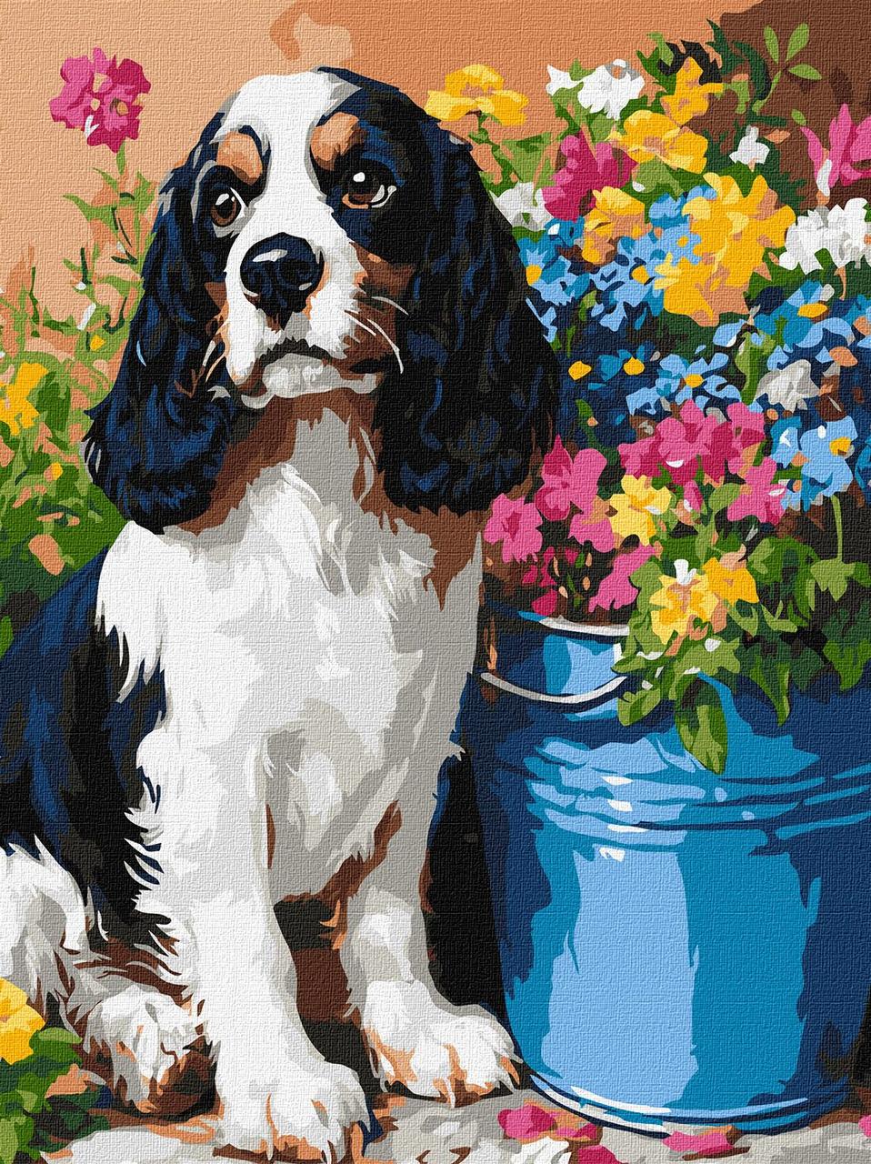 Картина по номерам Ideyka art_selena_ua Милый спаниель холст на подрамнике 30x40 см (KHO6672/2675020359)