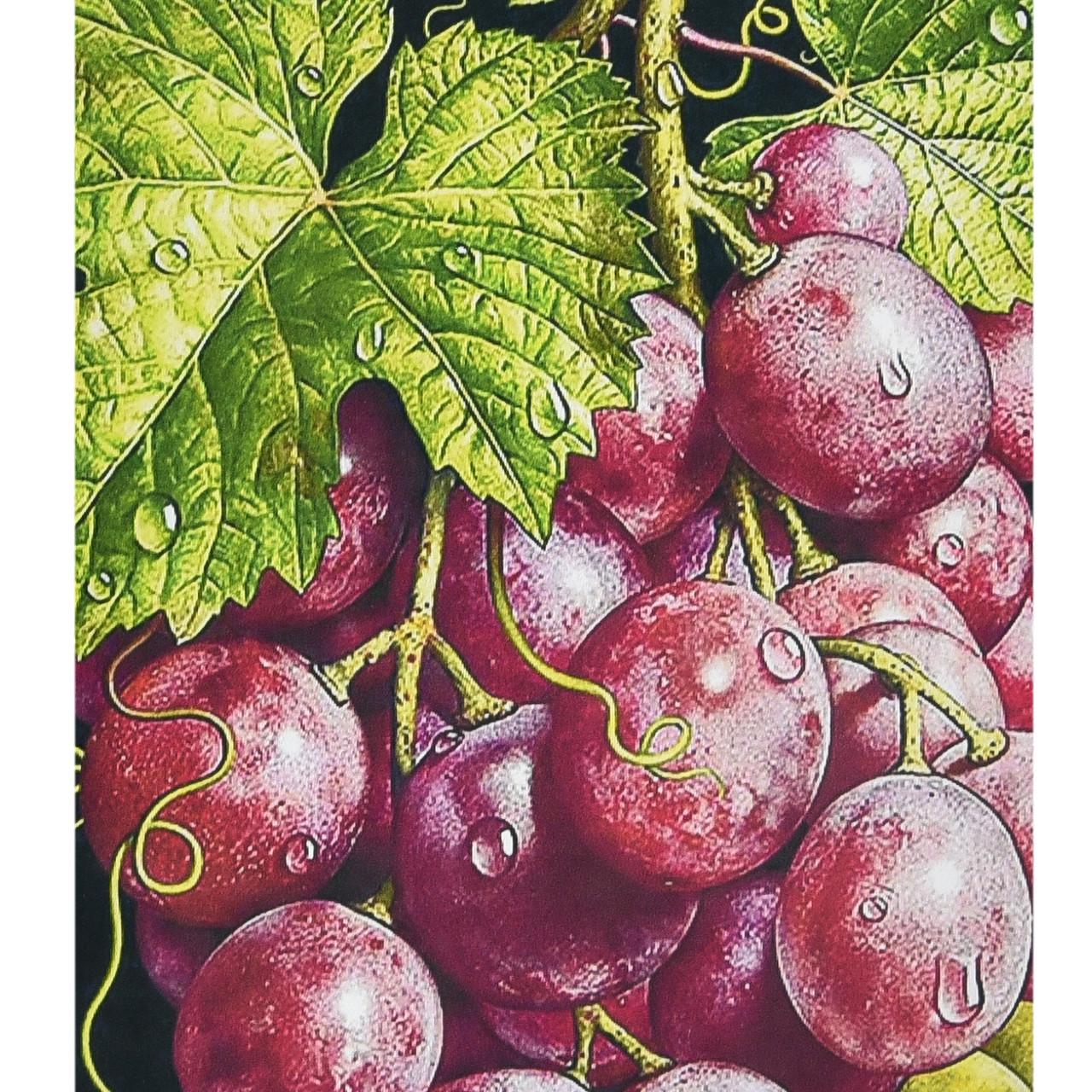 Алмазная мозаика Strateg Грозди богатства 30х40 см (HEG87076)