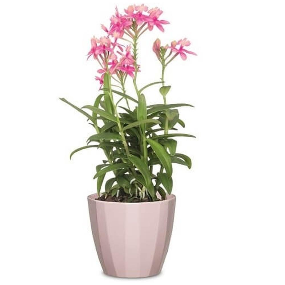 Кашпо Scheurich Elegance 14 см Рожевий (62315) - фото 3