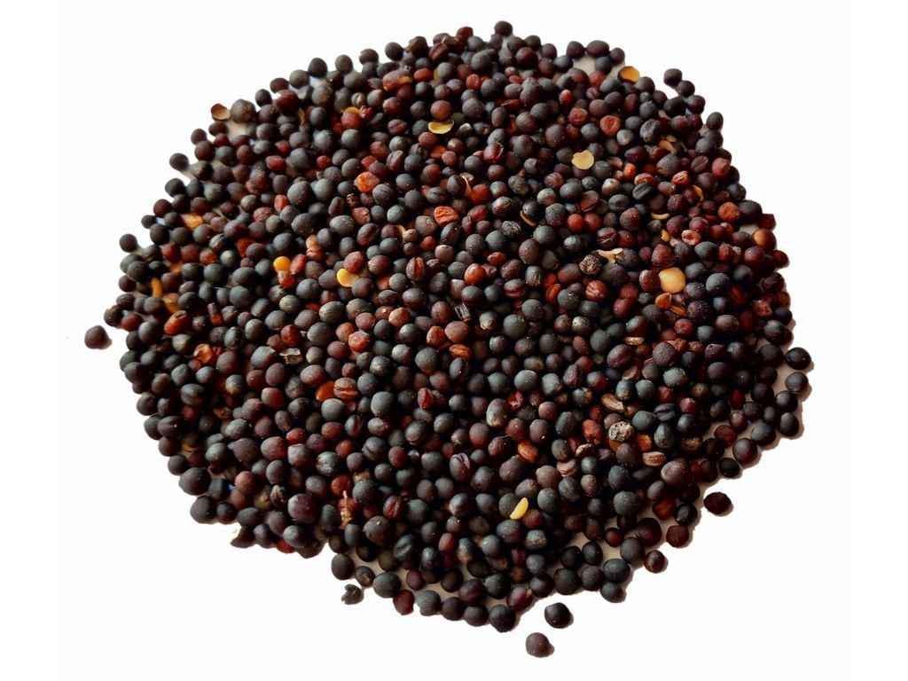 Трава Семена Украины Рапс озимый в мешке 25 кг