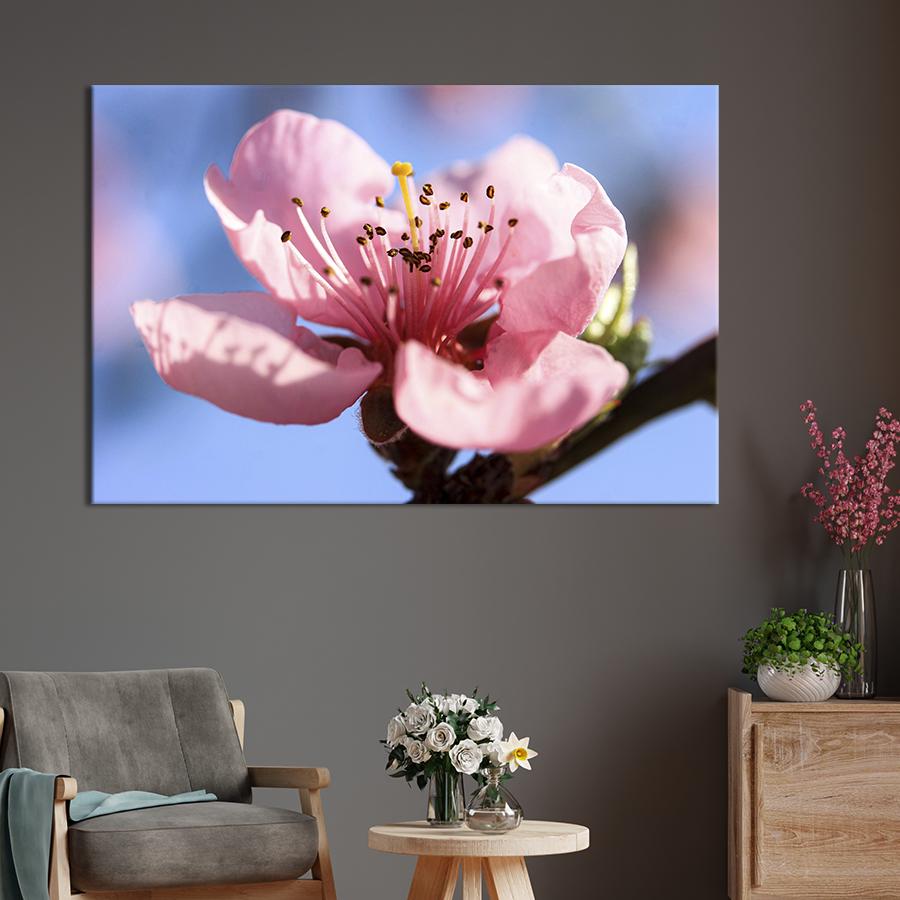 Картина на холсте Цветок персика 75x50 см (841-1)