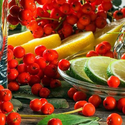Сажанец Рябина Красноплодная (23890)