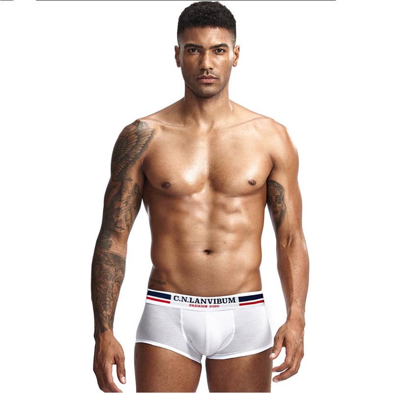 Трусы Lanvibum M Белый (7440) Трусы Lanvibum M Белый (7440)