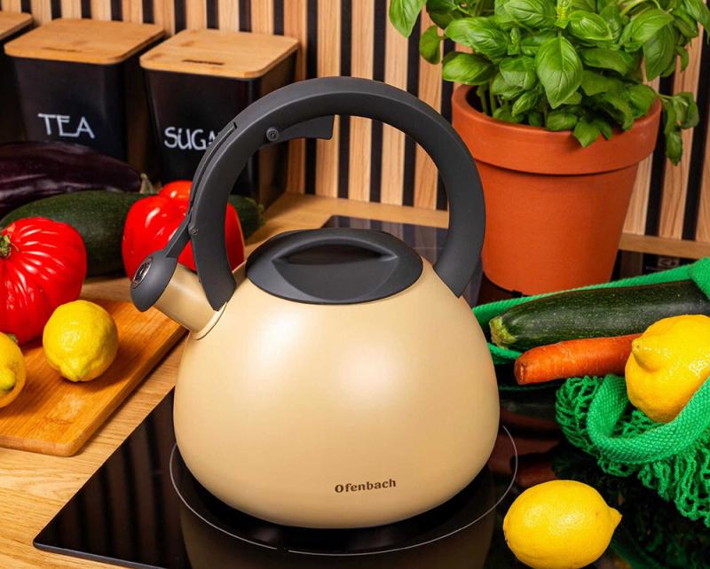 Чайник Ofenbach нержавіюча сталь зі свистком 2,7 л Бежевий матовий (NB-100322) - фото 4 Чайник Ofenbach нержавіюча сталь зі свистком 2,7 л Бежевий матовий (NB-100322) - фото 4
