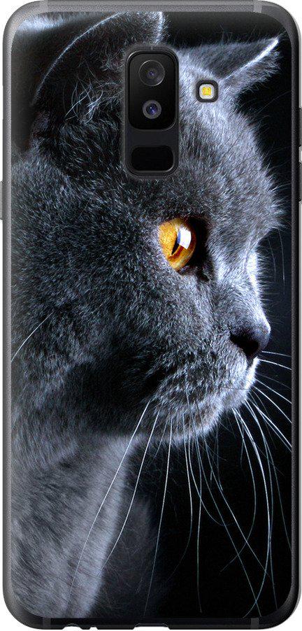 Чехол на Samsung Galaxy A6 Plus 2018 Красивый кот (3038t-1495-42517)
