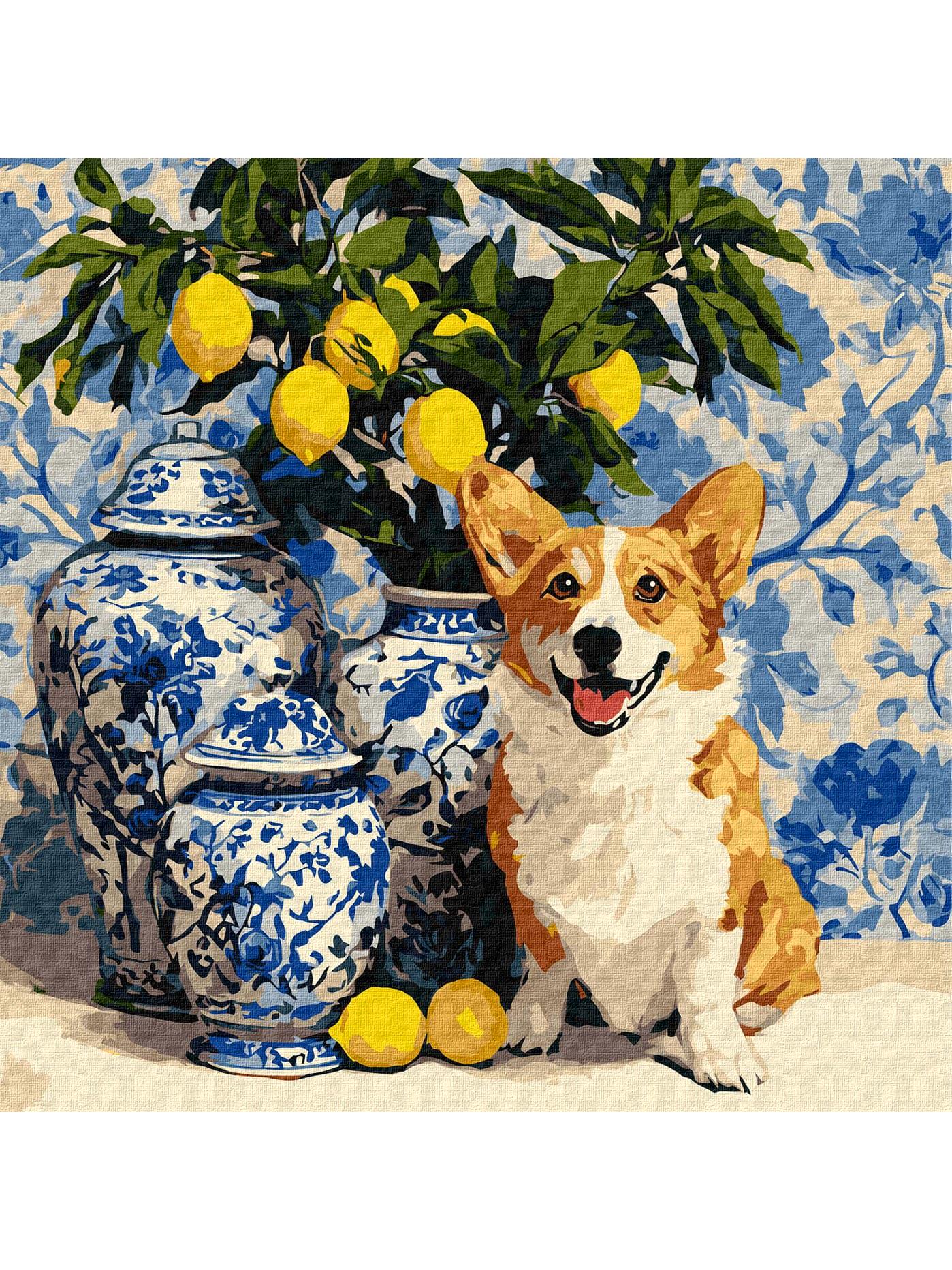 Картина за номерами Ideyka Коргі та лимони 40х40 см (KHO6882)
