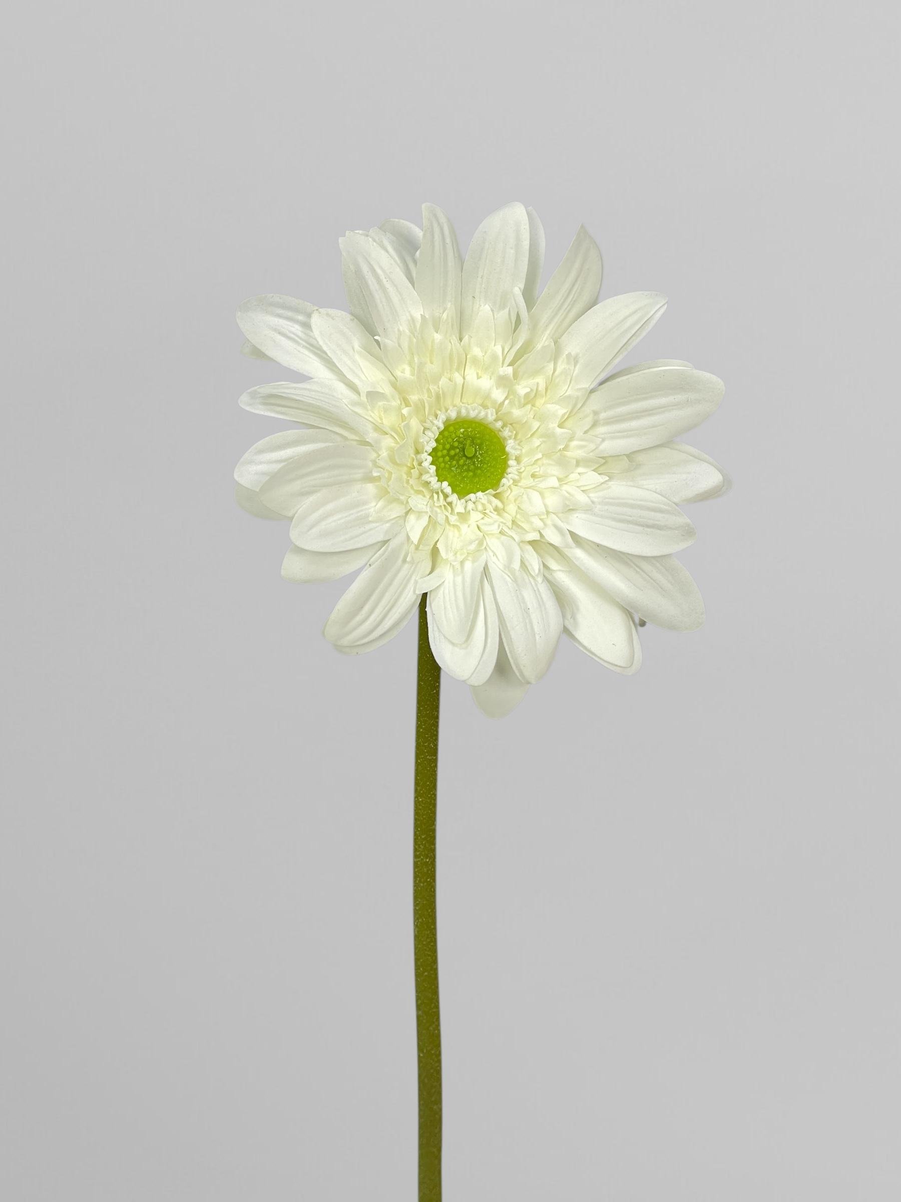 Искусственная гербера из латекса на стебле 64 см Белый (К13059)