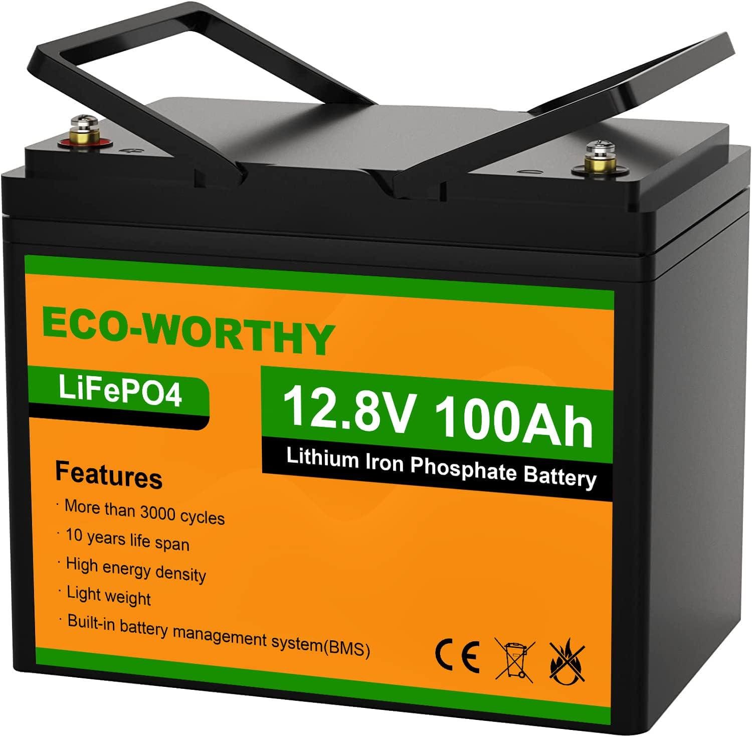 Акумулятор Eco Worthy LiFePO4 12V 100 Ah 1280 Wh Чорний (000777) - фото 1