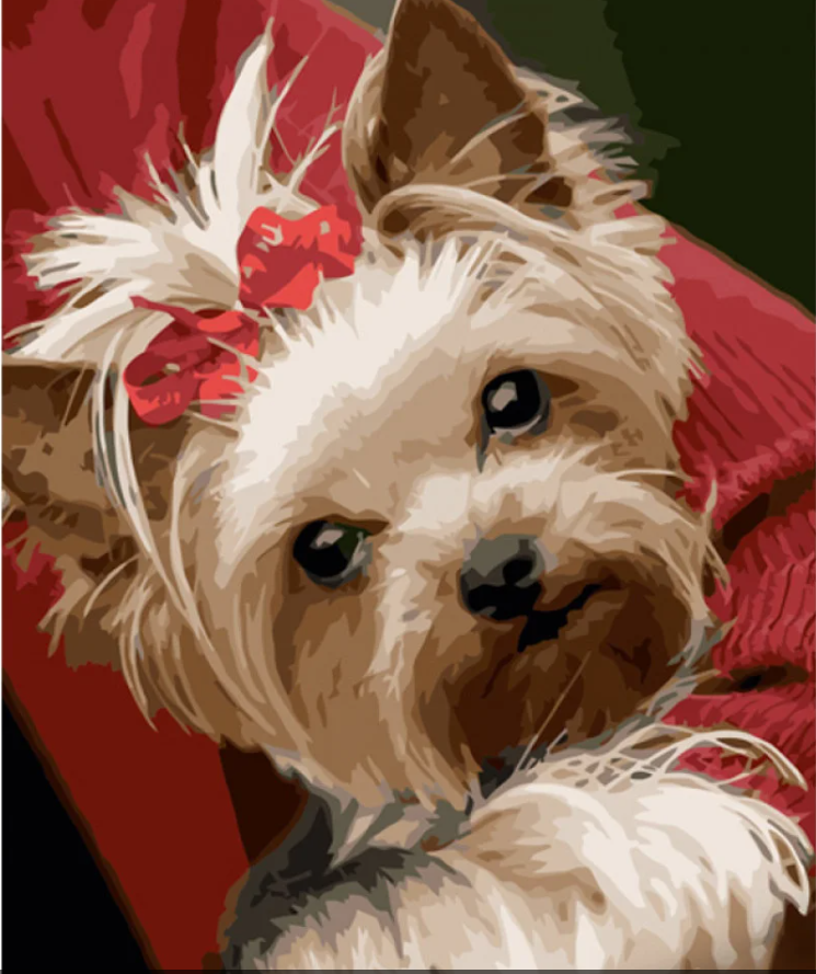 Картина по номерам Strateg Песик с хвостиком 40х50 см (GS1209)