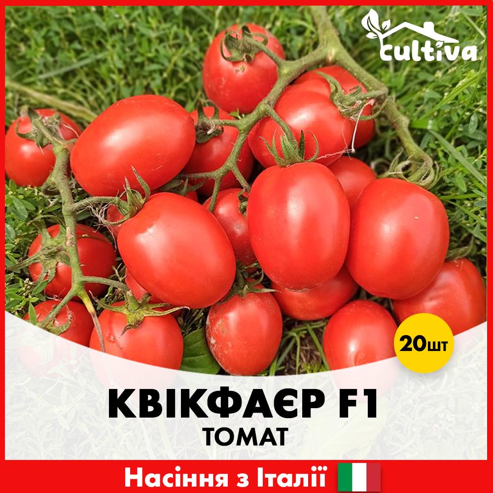 Семена томата Esasem Квикфайер F1 20 шт. (R51085)