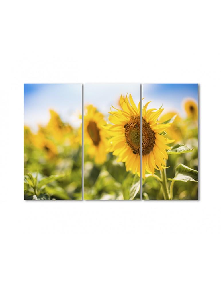 Картина модульная Подсолнухи 3 модуля 120x180 см