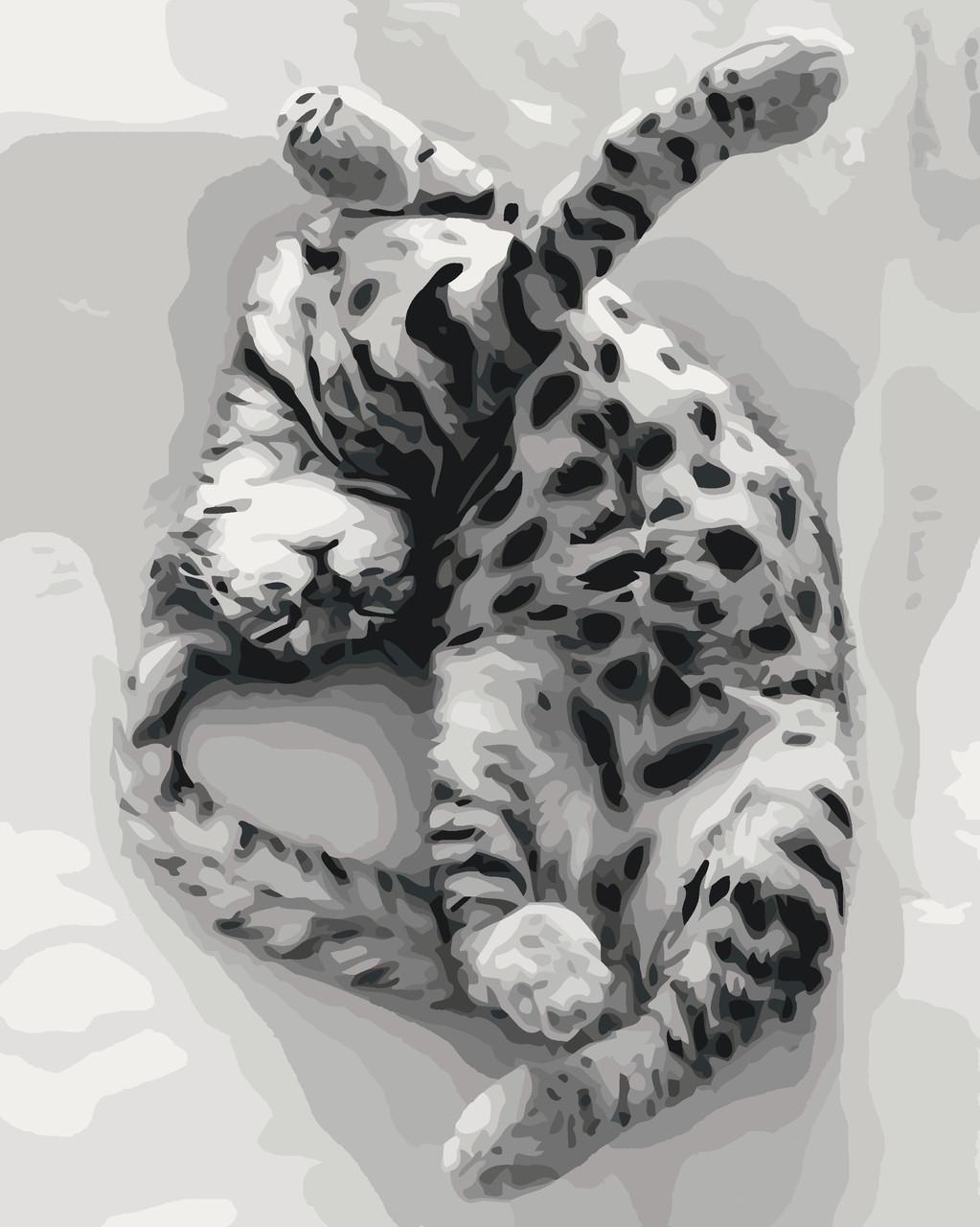 Картина по номерам Идейка Сладкий сон 40x50 см (skl-КНО4069)