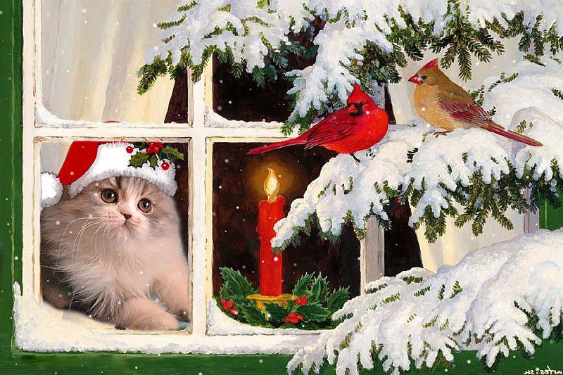 Алмазна Мозаїка Emerald Craft Новорічний кіт у віконці 30x40 см (24422)