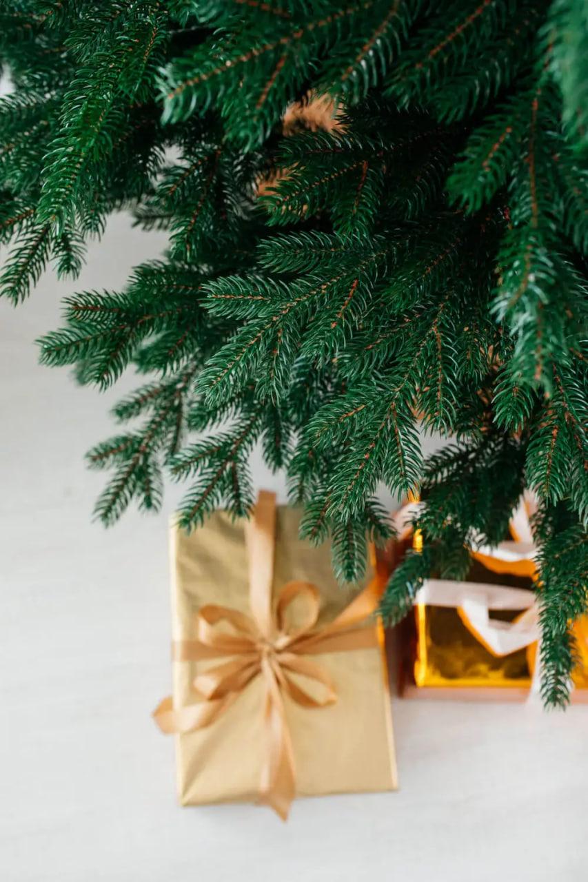 Искусственная елка литая Koroleva с металлической подставкой 2,1 м Зеленый (VYA678221) - фото 5 Искусственная елка литая Koroleva с металлической подставкой 2,1 м Зеленый (VYA678221) - фото 5