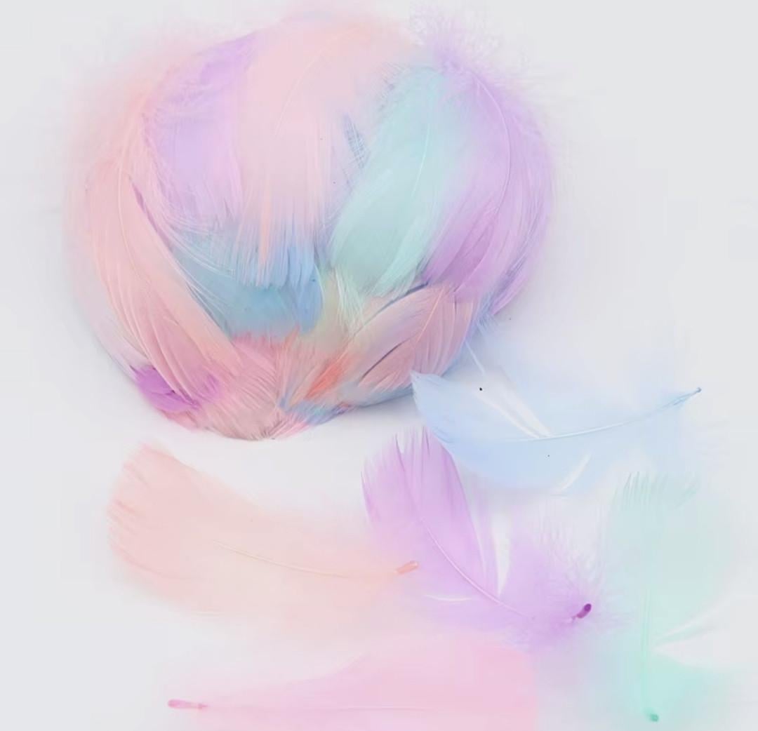 Набор декоративных перьев для детского творчества 6-14 см 95-100 шт. Разноцветный (2115786760)