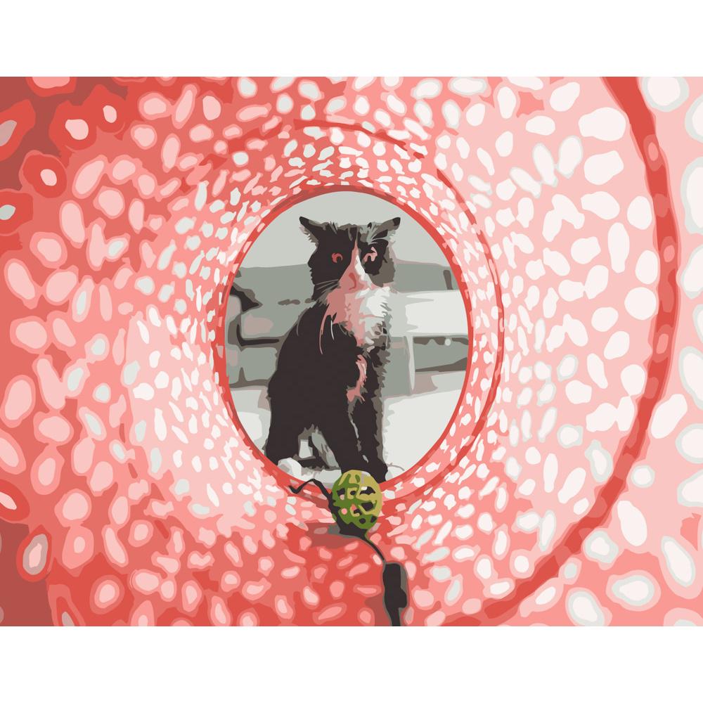 Картина по номерам Strateg Премиум Котик в тоннеле 40х50 см (DY092)