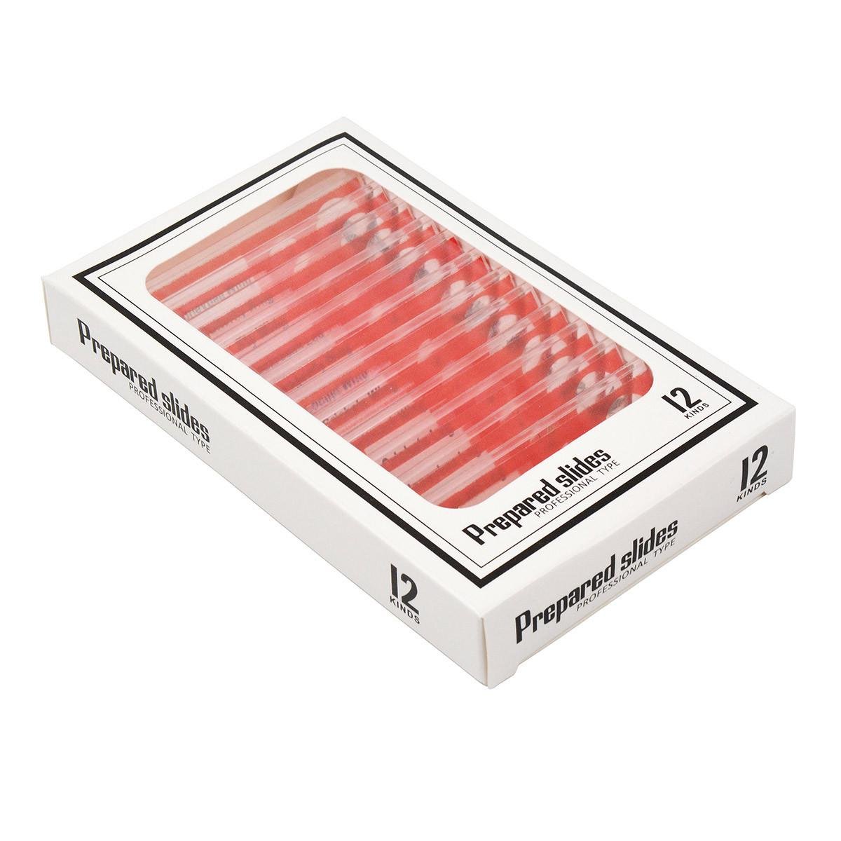 Набір мікропрепаратів SIGETA ENTRANCE Будова комах 12 шт. (25072117)