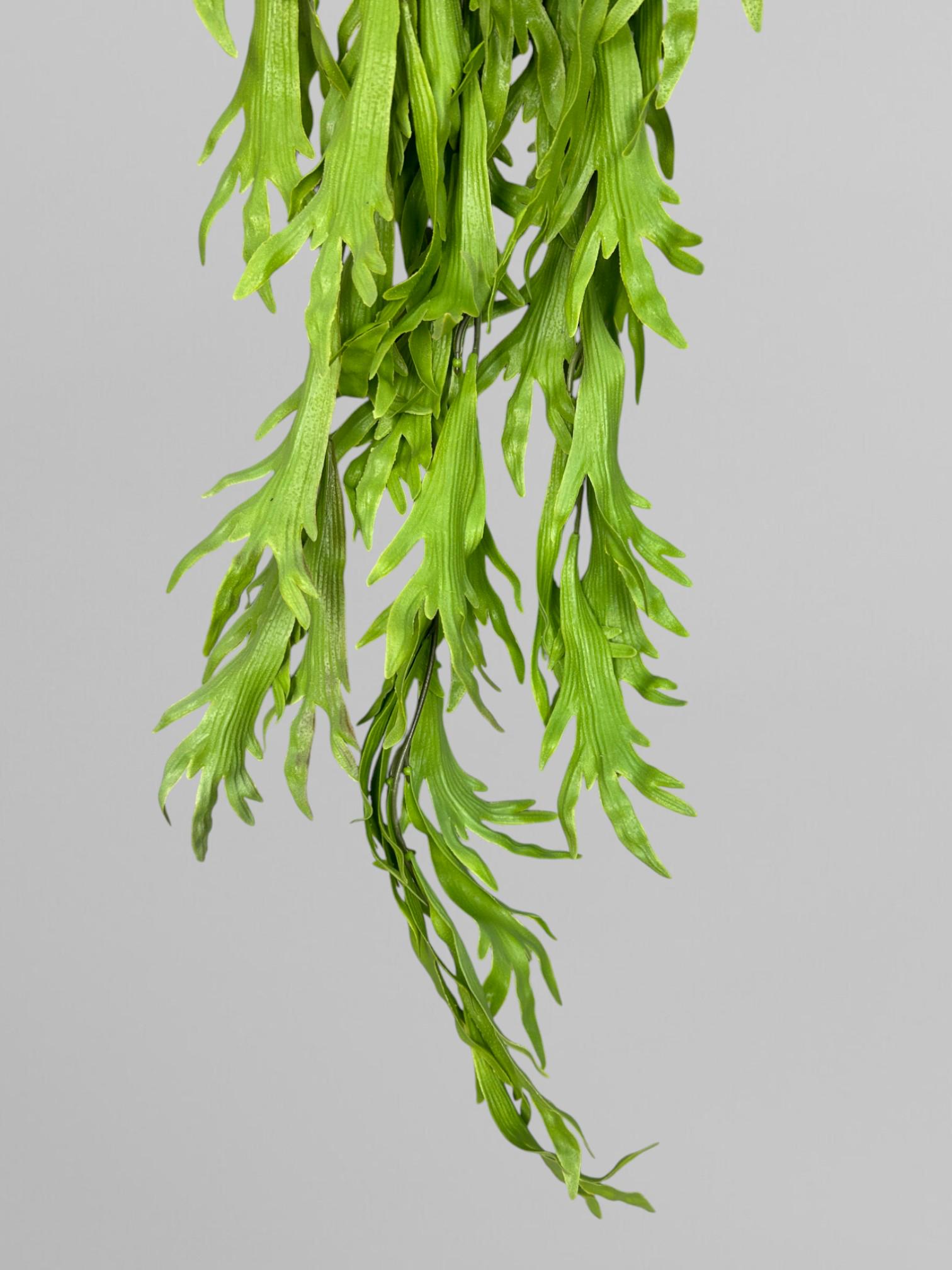 Искусственный папоротник платицериум 110 см Светло-зеленый (Р01039) - фото 6 Искусственный папоротник платицериум 110 см Светло-зеленый (Р01039) - фото 6