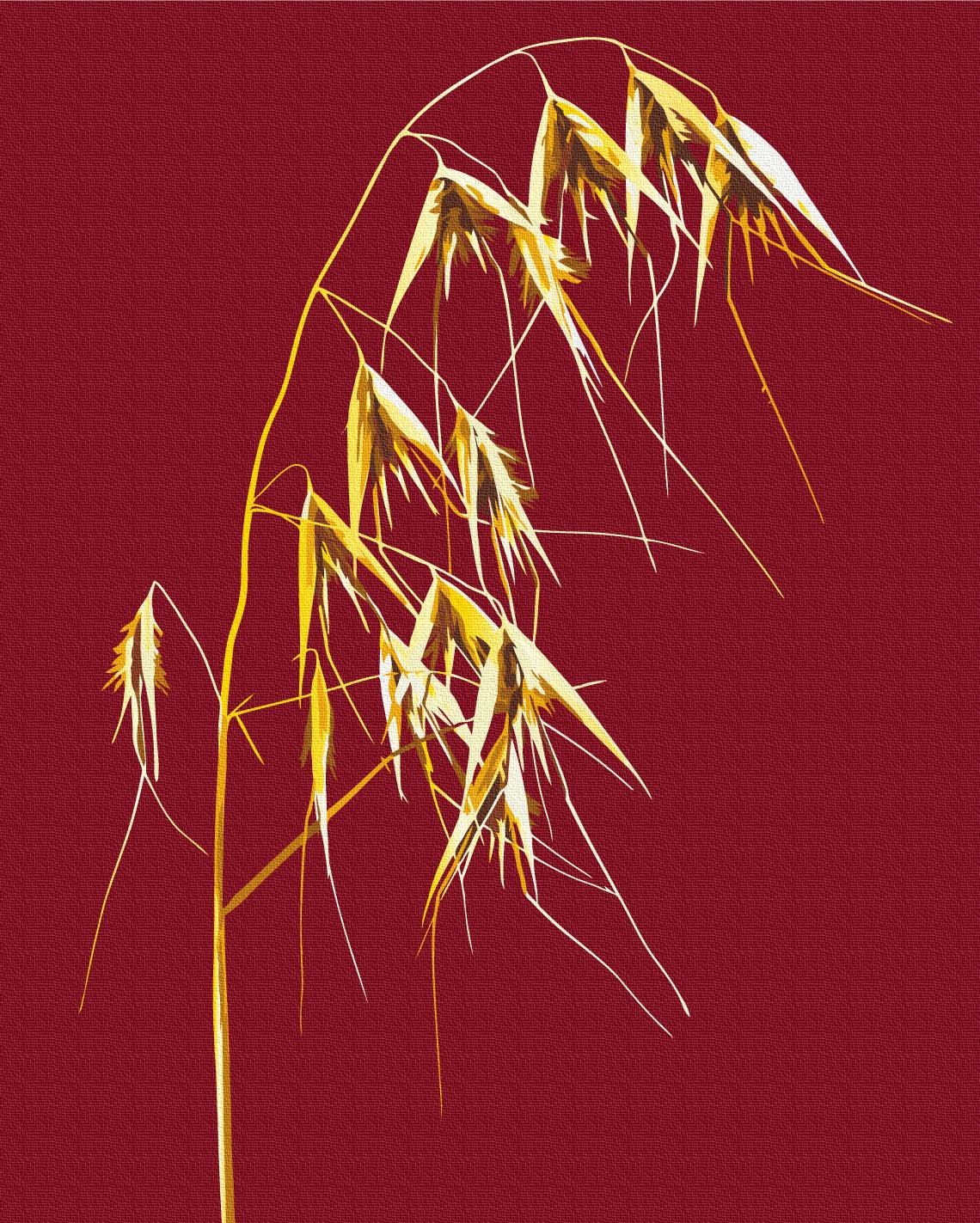 Картина по номерам Brushme Золотой дикий овес 40x50 см (BS53994) Картина по номерам Brushme Золотой дикий овес 40x50 см (BS53994)