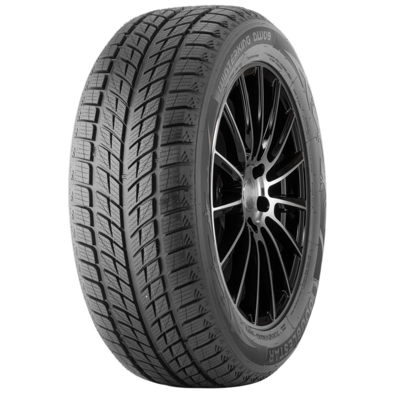 Автошина DoubleStar WINTERKING DW09 235/55 R20 102H (352268)