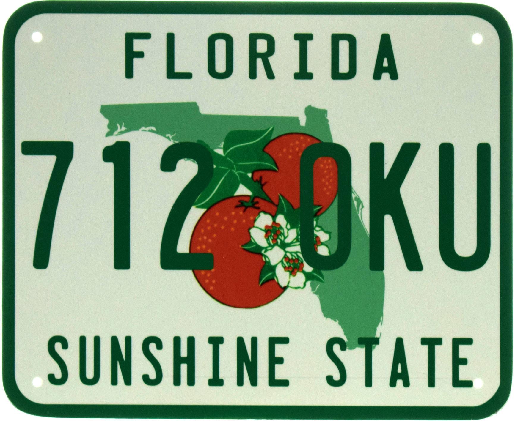 Табличка металева "Florida 712 OKU Sunshine State" 18x22 см (ms-103666)