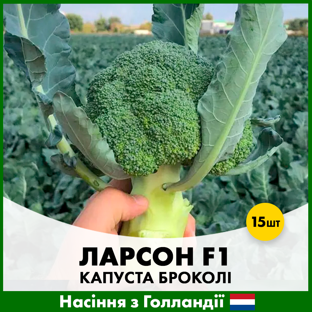 Семена капусты брокколи Rijk Zwaan Ларсон F1 15 шт. (R50202)