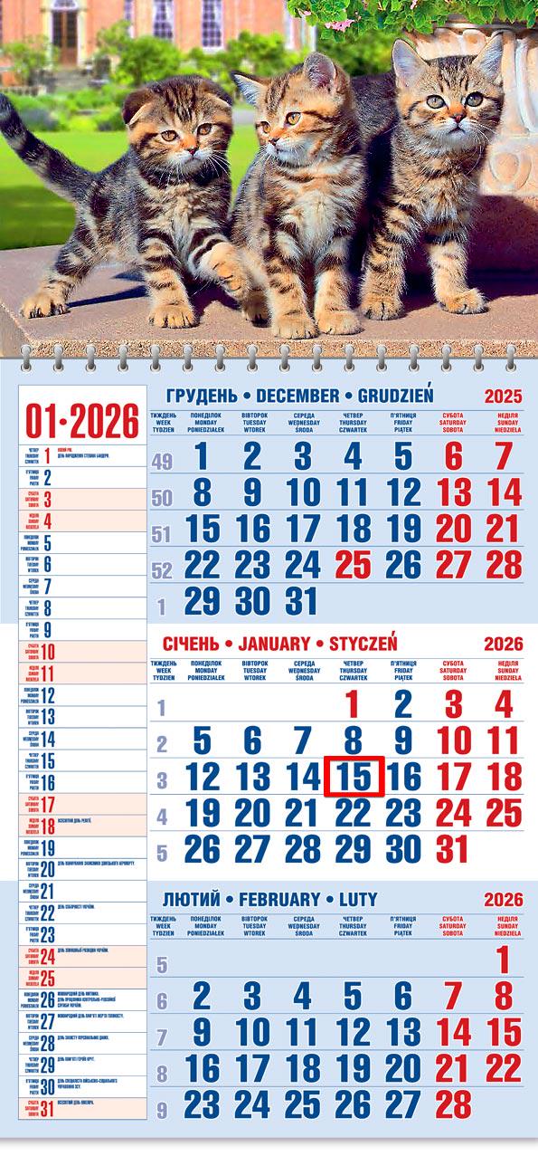 Календар на 2026 р. Офісний 1 Котяча тріада