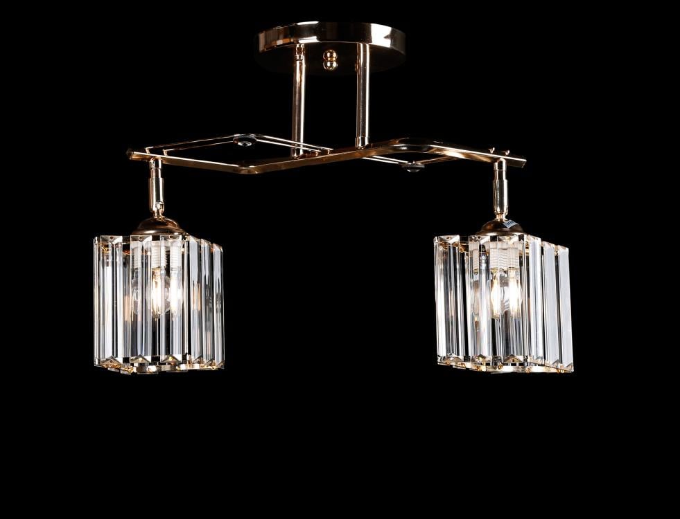 Люстра с плафонами Ray L7266/2A FGD (IR005992)