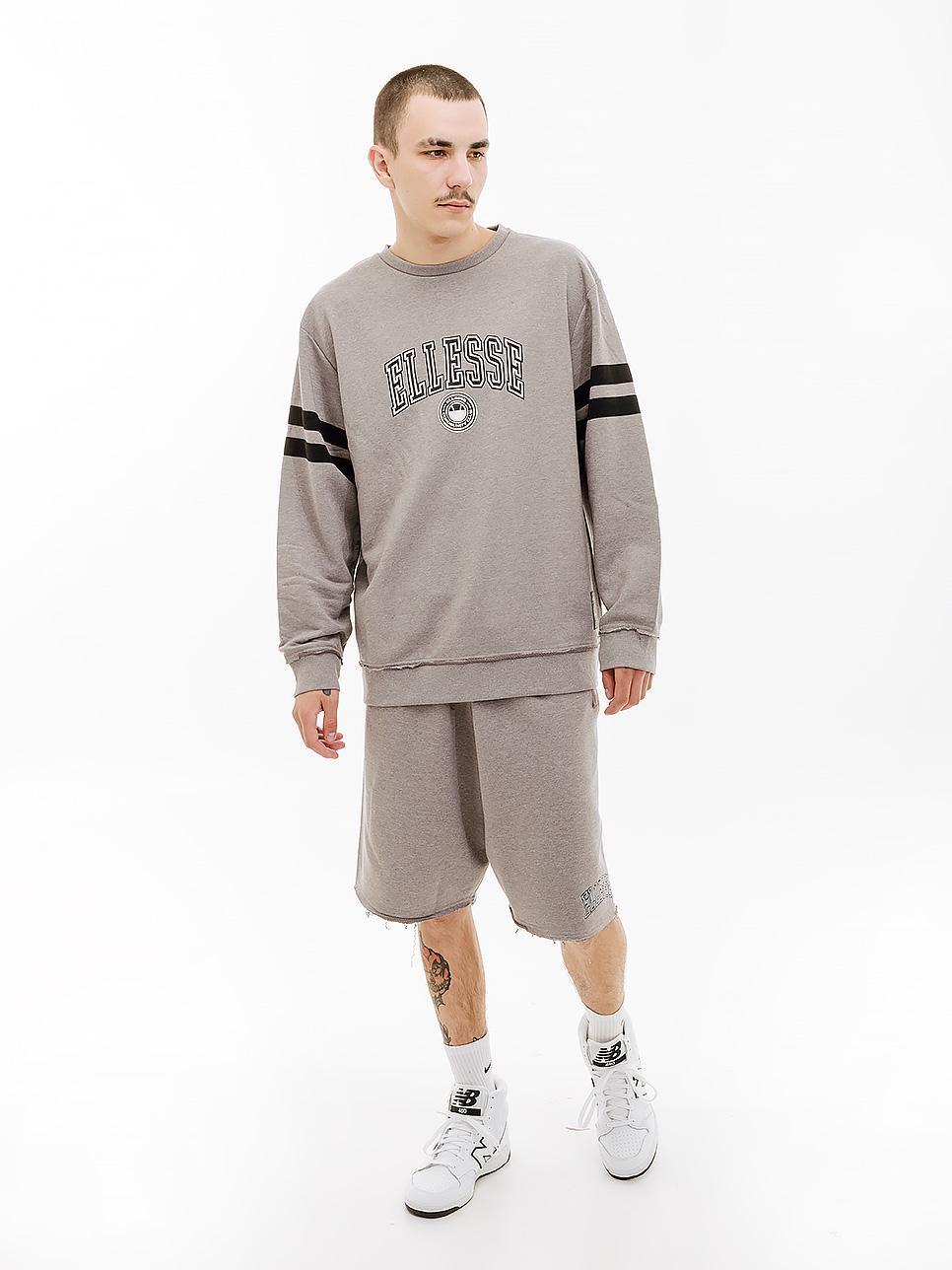 Свитшот мужской Ellesse Vivar Sweatshirt S Серый (7dSHV20028-112 S)