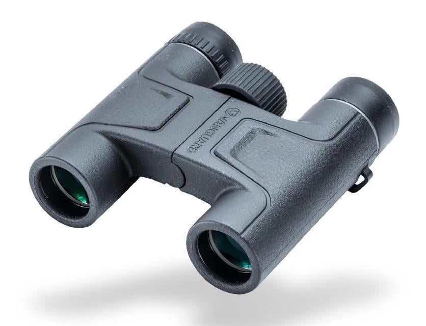 Бинокль Vanguard Vesta 10x25 WP (DAS301008)