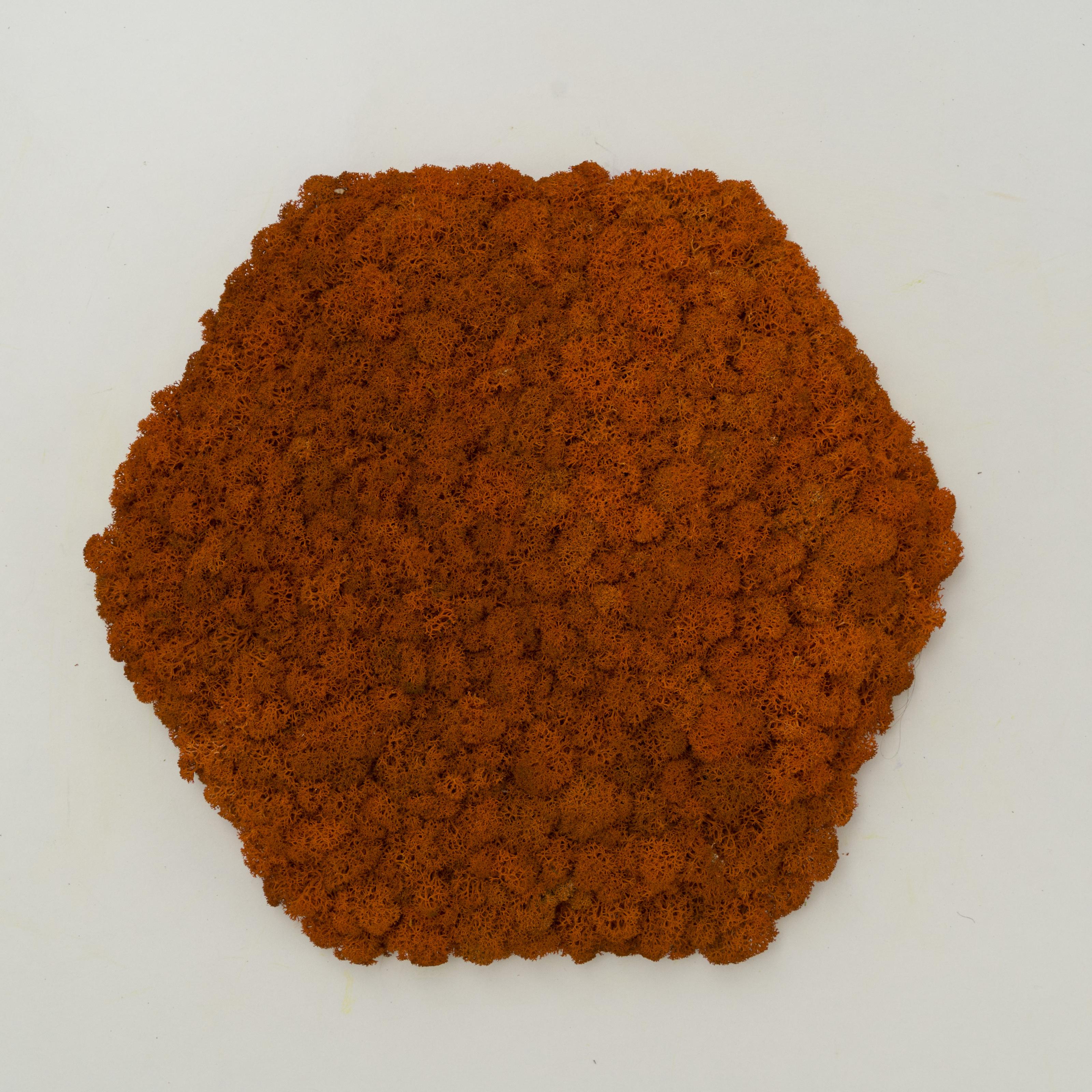 Декоративне панно з моху Organic Design шестикутникова панель 33 см Orange (702-06) - фото 4 Декоративне панно з моху Organic Design шестикутникова панель 33 см Orange (702-06) - фото 4